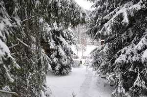 aufgang-winter-zw-eddy-elvin.jpg